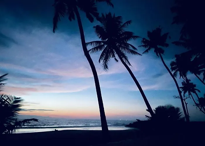 Salt Life Marari Beach Villa
